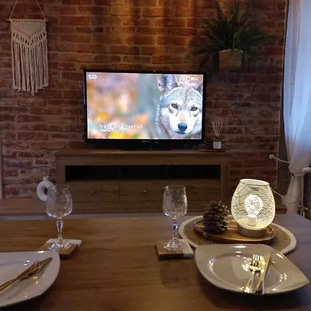 Apartment Hubane Koigi Mugavustega Kuelaliskorter