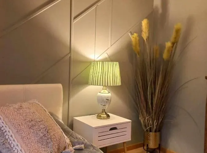 Luksuslik Kuelaliskorter 2 Oeoed 140eur *